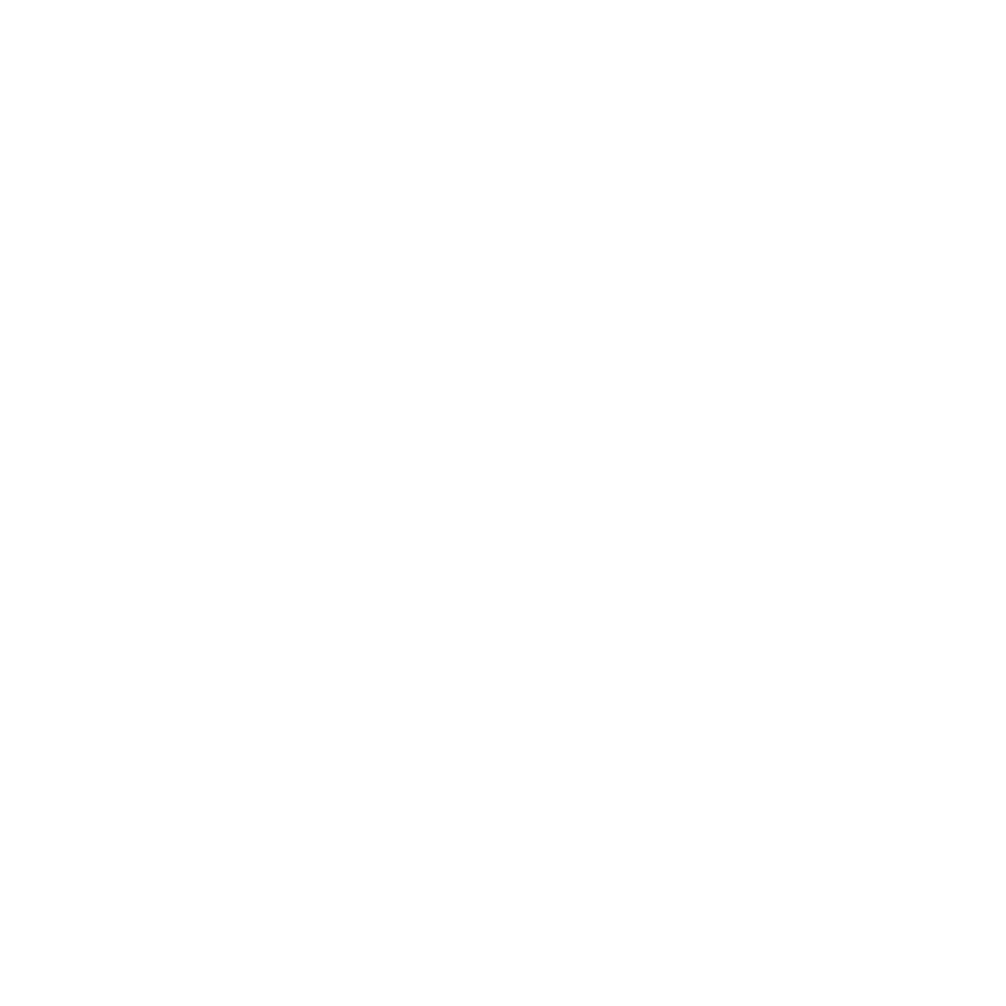 22FK2T-DC SF Custom Logo - Jerry Zang - VIP_white